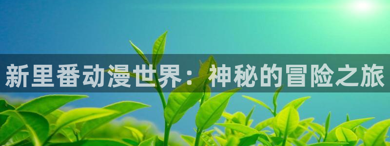 新闻图片